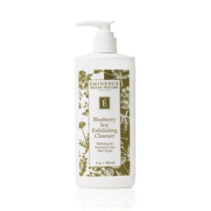 Blueberry Soy Exfoliating Cleanser 8229