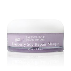 Blueberry Soy Repair Masque 292